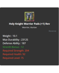 Holy Knight Warrior Pads
 +-+1 Rebirt