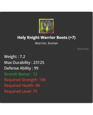 Holy Knight Warrior Boots
 +-+7