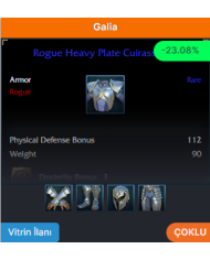 +9 Rogue Heavy Plate Set 17 Dex